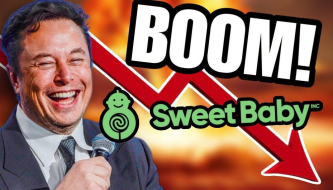 Billionaire Elon Musk also doesn't like Sweet Baby Inc.