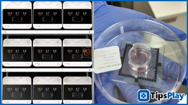 images 2 of A bio-supercomputer powered by human brain cells is about to get its own data center.