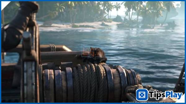 images 4 of Assassin's Creed Black Flag Resynced Causes a Stir in the Global Pirate Community.