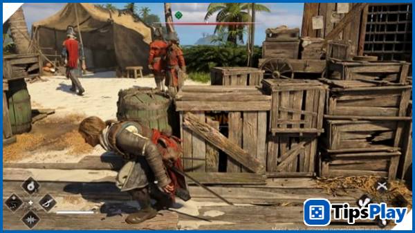 images 5 of Assassin's Creed Black Flag Resynced Causes a Stir in the Global Pirate Community.