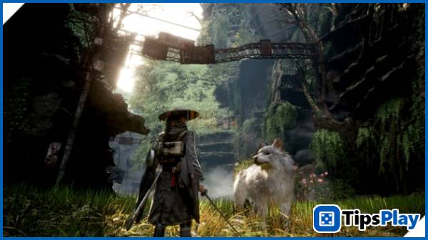 images 1 of Beast of Reincarnation: Release date, gameplay, and all the information about this ambitious RPG from Game Freak.