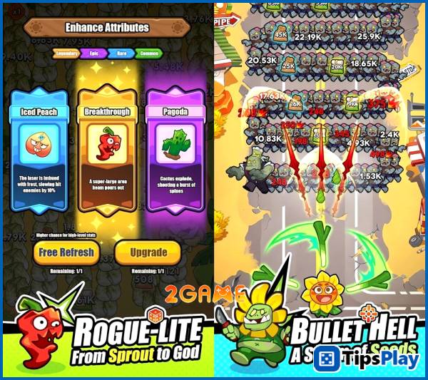 images 3 of Don't Touch Grass - When the garden turns into a fortress to destroy Brain Rot