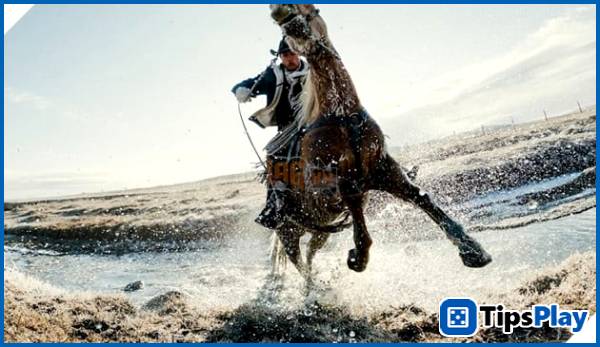 images 4 of GoPro launches Mission 1: Major hardware upgrades, aiming to reclaim its position.