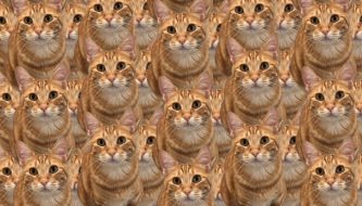 A game that's 100% free on Steam receives a 9/10 rating and has top-notch player ratings.