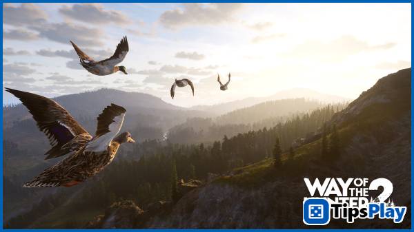 images 2 of Way of the Hunter 2 announces console release.