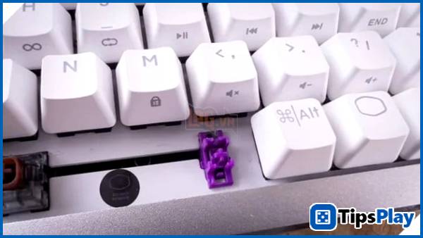 images 1 of Mechanical keyboards: A unique playground for switch sound enthusiasts.