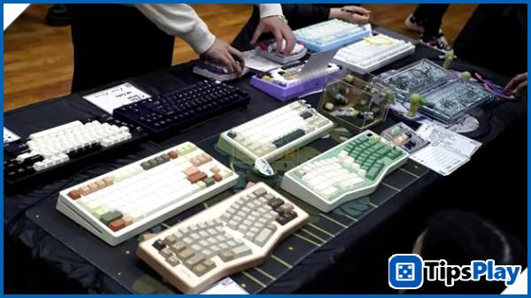 images 2 of Mechanical keyboards: A unique playground for switch sound enthusiasts.