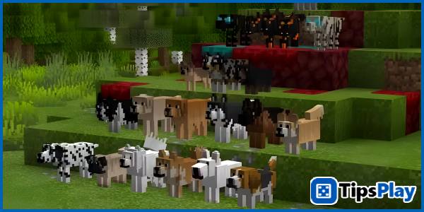 images 2 of Minecraft announces the official name for update 1.21.