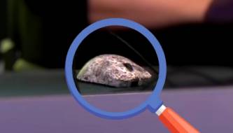 Razer Viper V4 Pro revealed despite clever camouflage.