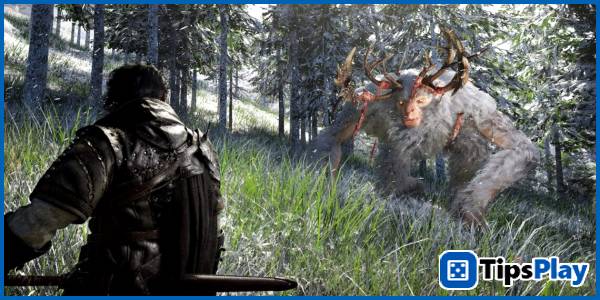 images 1 of Pearl Abyss officially removes AI imagery from Crimson Desert following a wave of criticism.