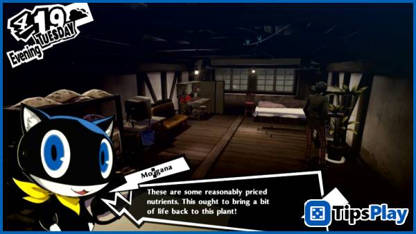 images 1 of Persona 5 Royal Guide: 10 tips for the most effective gameplay!
