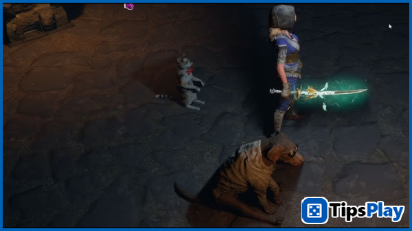 images 4 of After relentlessly grinding for 50 days to hunt for rare items, the male gamer was left disappointed because of one thing.