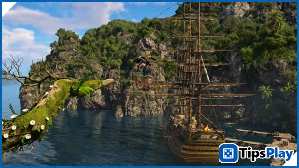 images 3 of System Requirements for Assassin's Creed Black Flag Resynced