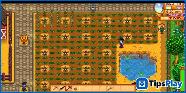 images 2 of Update 1.6 for Stardew Valley could completely change the game.